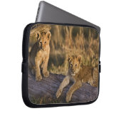 Löwenjunge auf Baumstamm Laptopschutzhülle (Vorne Rechts)