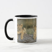 Löwenjunge auf Baumstamm Tasse (Links)
