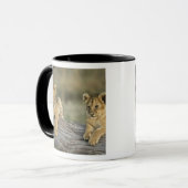 Löwenjunge auf Baumstamm Tasse (Vorderseite Links)