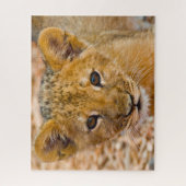 Löwenjunges Großkatzen. Puzzle (Vertikal)