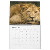 Löwenkalender 2025 kalender (Feb 2027)