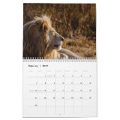 Löwenkalender 2026 kalender (Feb 2027)