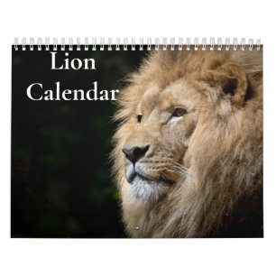 Löwenkalender 2027 kalender