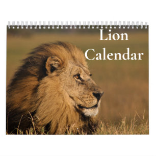 Löwenkalender 2027 kalender