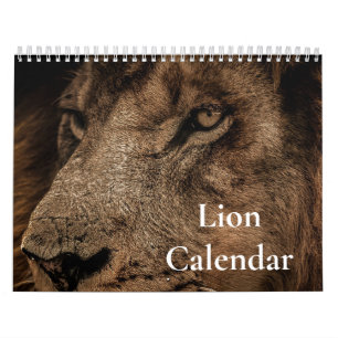 Löwenkalender 2027 kalender