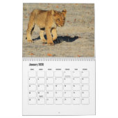 Löwenkalender Kalender (Jan 2026)