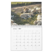 Löwenkalender Kalender (Jan 2027)