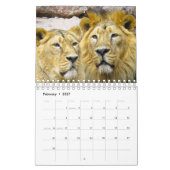 Löwenkalender Kalender (Feb 2027)