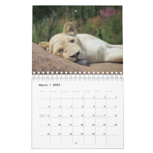 Löwenkalender Kalender