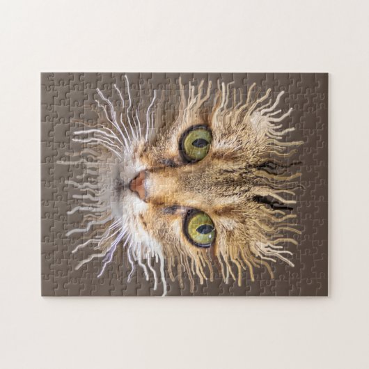 Löwenkatze Puzzle (Horizontal)