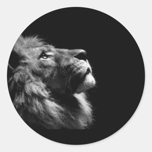 Löwenkleber Runder Aufkleber (Vorderseite)