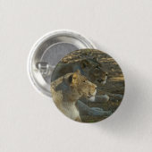 Löwenknopf Button (Vorne & Hinten)