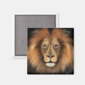 Löwenkönig des Dschungels realistische männliche W Magnet (Vorderseite/Rückseite)