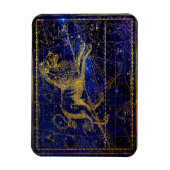 Löwenkonstellentmagnet Magnet (Vertikal)