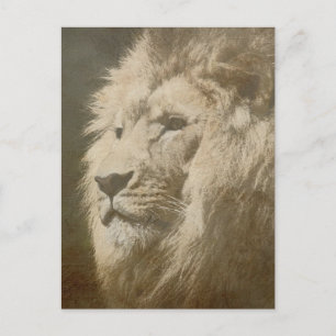 Löwenkopf Der König Moderne Pop-Art-Vorlage Tier Postkarte