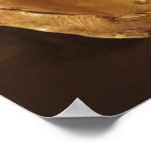 Löwenkopf Poster (Ecke)