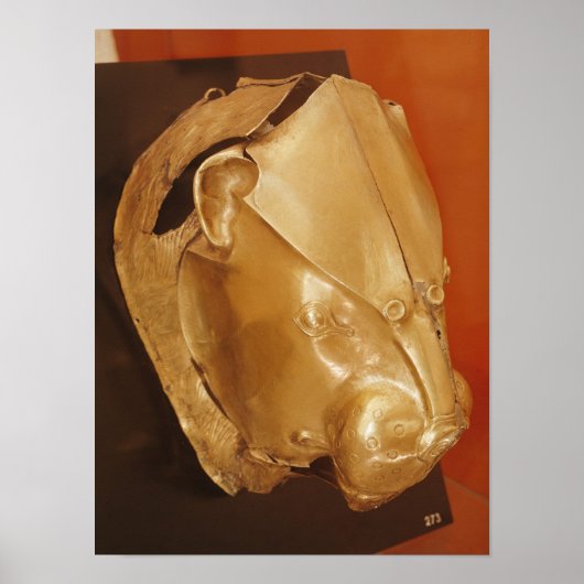 Löwenkopf Poster (Vorne)