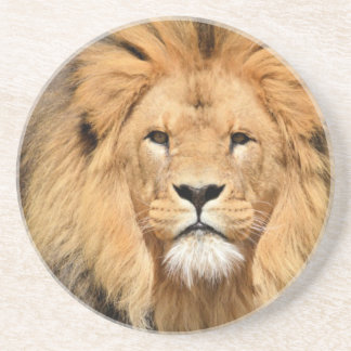 Löwenkopf Untersetzer