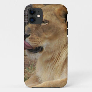 Löwenlecken iPhone 11 Hülle