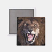Löwenmagnet Magnet (Vorderseite/Rückseite)