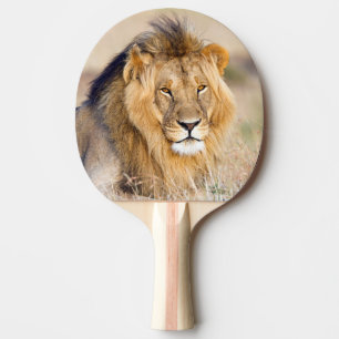 Löwenmajestätisches Wildtierportrait Tischtennis Schläger