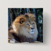 Löwenmane Button (Vorderseite)