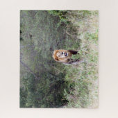 Löwenmane Puzzle (Vertikal)