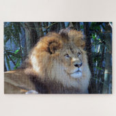 Löwenmane Puzzle (Horizontal)