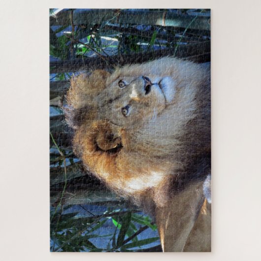 Löwenmane Puzzle (Vertikal)