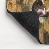 Löwenmännchen brüllen, Greater Krüger National Mousepad (Ecke)
