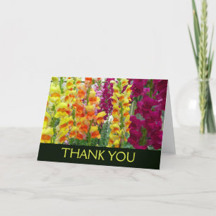 Löwenmäuler Farbige Blüten Dankeskarte