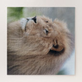 Löwenmehl Puzzle (Horizontal)