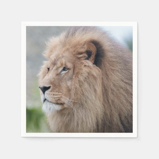 Löwenmehl Serviette (Vorderseite)