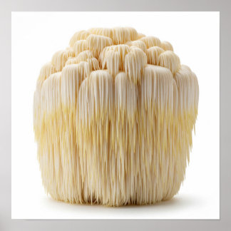 Löwenmushroom Poster