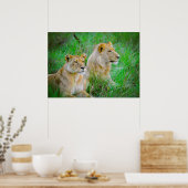 Löwenmutter und Sohn hing in Gras in Botswana Poster (Küche)