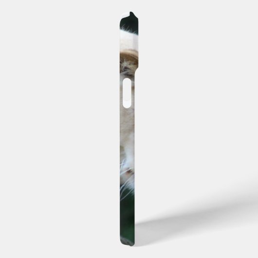 Löwennuzzling Case-Mate iPhone Hülle (Rückseite / Rechts)