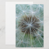 LöwenŌ Briefpapier (Vorne/Hinten)