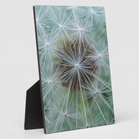 LöwenŌ Fotoplatte (Seite)