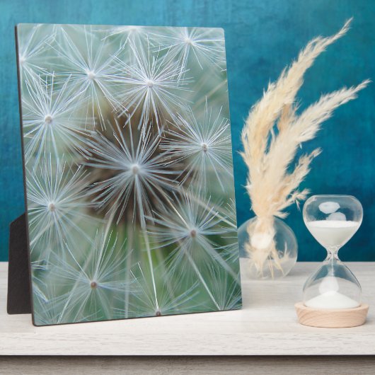 LöwenŌ Fotoplatte (Seite)