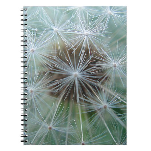 LöwenŌ Notizblock (Vorderseite)