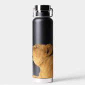 Löwenpaar Wasserflasche, 650 ml Trinkflasche (Rückseite)