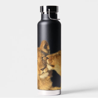 Löwenpaar Wasserflasche, 650 ml Trinkflasche
