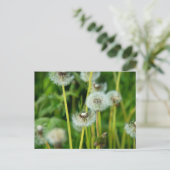 Löwenpappus Postkarte (Stehend Vorderseite)