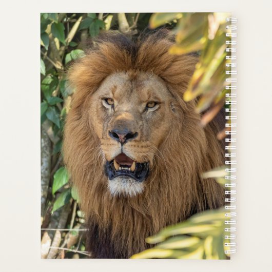 Löwenplaner Planer (Rückseite)