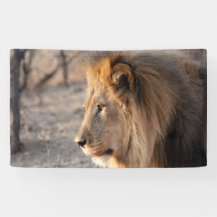 Löwenportrait Banner