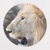 Löwenportrait Etiketten (Design 1)