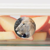 Löwenportrait Etiketten (Befestigt)