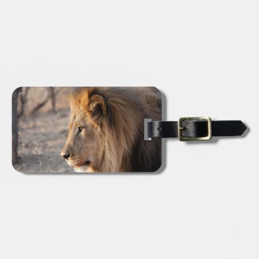 Löwenportrait Gepäckanhänger (Vorderseite horizontal)