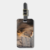 Löwenportrait Gepäckanhänger (Vorderseite vertikal)