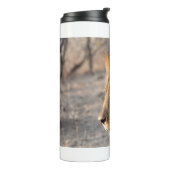 Löwenportrait Thermosbecher (Nach links gedreht)